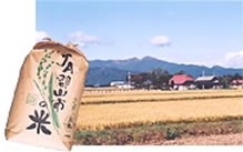 地産地消の試み